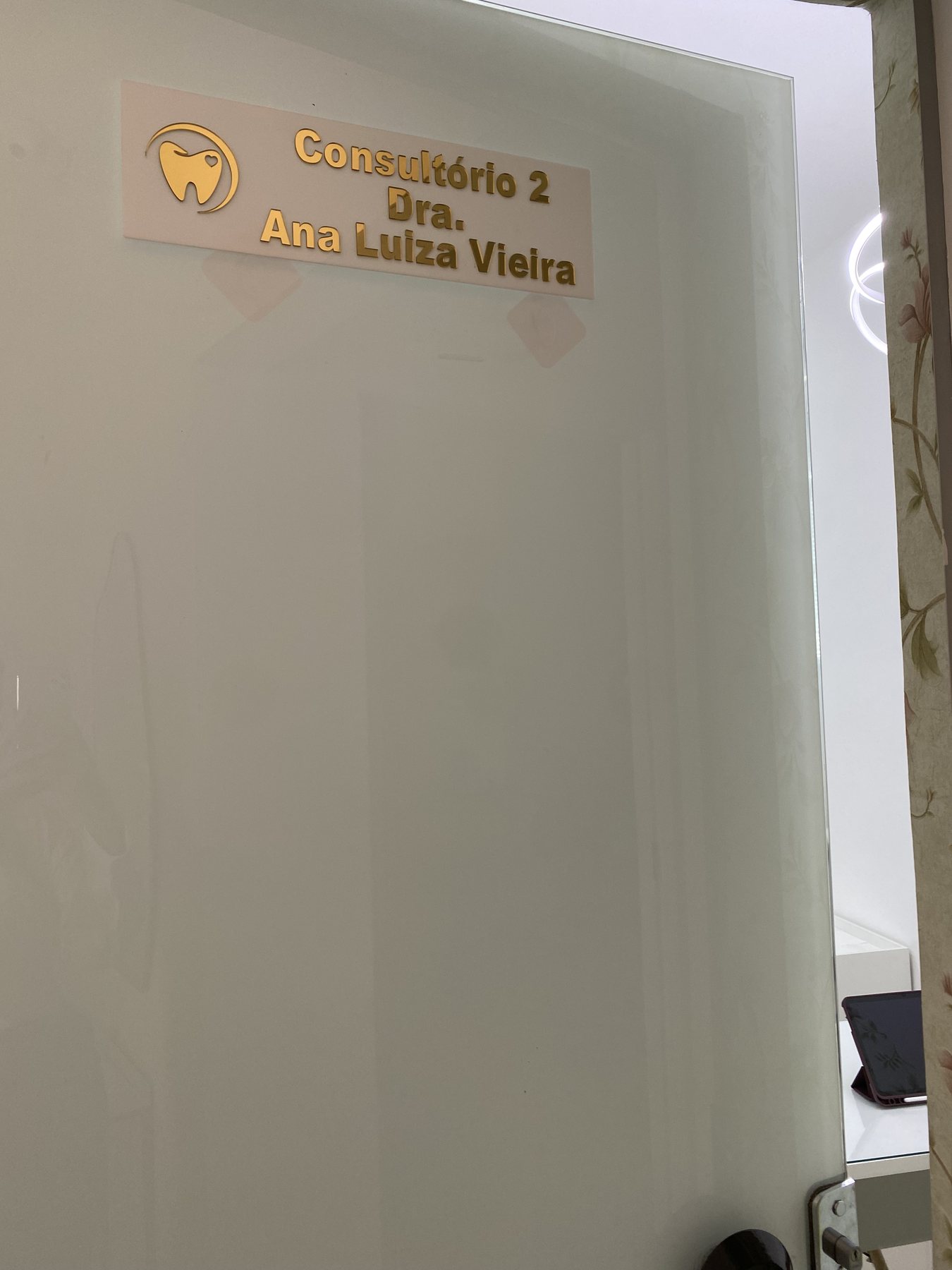Placa do Consult&oacute;rio 2 &mdash; Dra. Ana Luiza Vieira